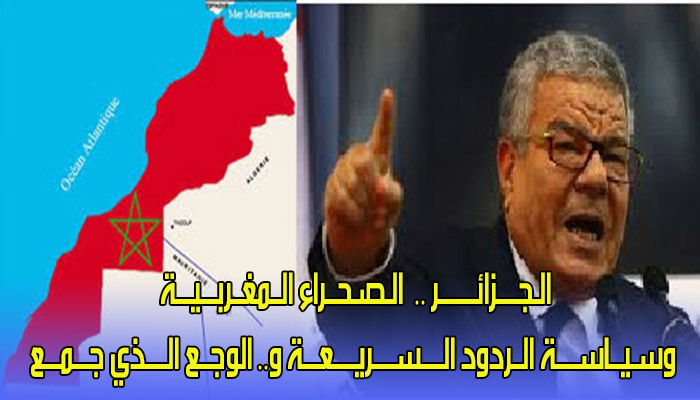 الـجــــزائـــــــر .. الـصـحــراء الــمغــربـــيـــة وسـيــاســــة الــردود الــــســــريــــعـــة و.. الوجــع الــــذي جـــمـــع缩略图 الـجــــزائـــــــر .. الـصـحــراء الــمغــربـــيـــة وسـيــاســــة الــردود الــــســــريــــعـــة و.. الوجــع الــــذي جـــمـــع缩略图