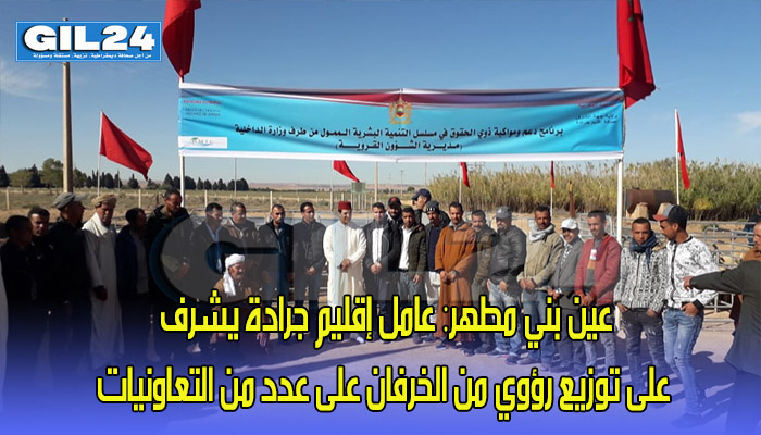 عين بني مطهر: عامل إقليم جرادة يشرف على توزيع رؤوي من الخرفان على عدد من التعاونيات缩略图 عين بني مطهر: عامل إقليم جرادة يشرف على توزيع رؤوي من الخرفان على عدد من التعاونيات缩略图