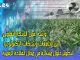 ورشة عمل: الابتكار التعاوني بين الجامعات وشركات التكنولوجيا، لتطوير حلول مبتكرة في مجال الفلاحة الرقمية缩略图