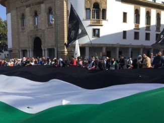 الرباط.. مسيرة وطنية تضامنية نصرة للقضية الفلسطينية缩略图