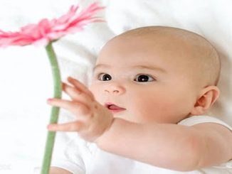 تهنئة خاصة للزميل عبد القادر بوراس缩略图