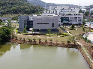 ذلك الضجيج الأمريكي حول معهد ووهان لأبحاث الفيروسات لا أساس له من الصحة!!缩略图