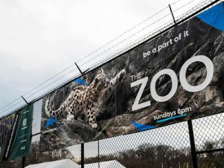 في تطور خطير.. الولايات المتحدة تسجل أول حالة إصابة بفيروس كورونا لدى حيوان缩略图