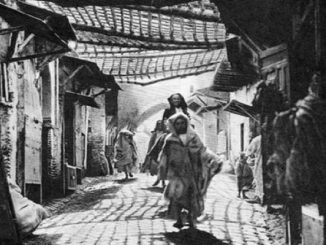 قضية العدوى والحجر الصحي في مغرب العصر الوسيط缩略图