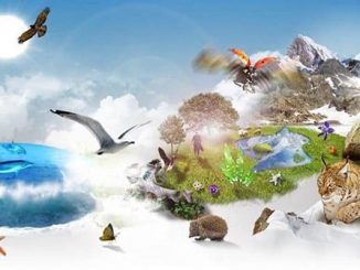 الأمم المتحدة: تدخّل الانسان في التنوع الحيوي مسؤول عن الأوبئة القاتلة ومنها كورونا缩略图