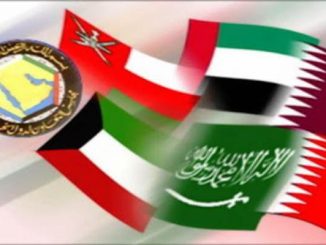 دول الخليج العربي : المواجهة والاندماج缩略图