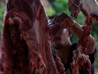 بلومبيرغ”: كورونا يدفع الولايات المتحدة لحافة أزمة لحوم خطيرة缩略图