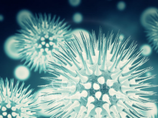 جديد … مدير مختبر ووهان : “حسب علماء ألمان وبريطانيين الفيروس قد يكون ظهر في الولايات المتحدة اولا” !!!缩略图