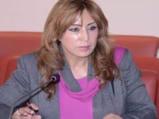 سليمة فرجي: وجهة نظر حول مشروع القانون المتعلق بالوسائط الإلكترونية في الإجراءات القضائية缩略图