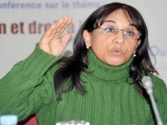 أمينة بوعياش: مجلس حقوق الإنسان سيدافع عن حماية حرية التعبير缩略图