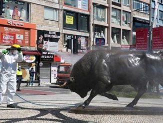 طبيب يؤكد “تلاشي” كورونا من “تلقاء نفسه” دون لقاح缩略图