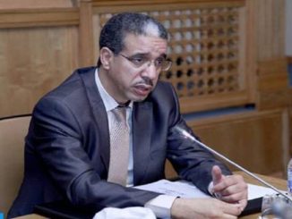 الحكومة تضع الآليات القانونية لإعادة هيكلة النشاط المنجمي التقليدي缩略图