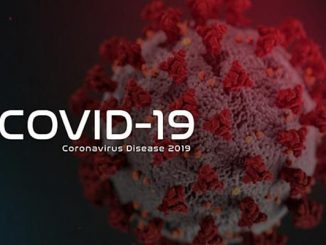 علماء يرجحون أن يكون تفشي “كوفيد-19” في نيويورك جاء عبر أوروبا وليس من الصين مباشرة缩略图