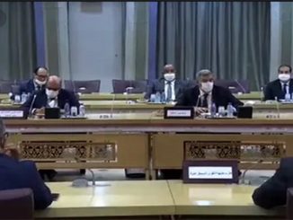 لفتيت يعقد لقاء مع زعماء وممثلي أحزاب سياسية غير ممثلة في البرلمان缩略图