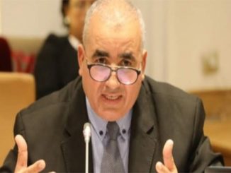 هامل: انتهازيون استغلوا انشغال المغاربة بمواجهة “كورونا” للنيل من المكتسبات الديمقراطية والحقوقية缩略图