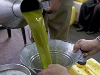 المغرب الخامس عالميا من حيث الاستهلاك الإجمالي لزيت الزيتون والثالث عربيا على مستوى الفرد缩略图