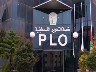 التحرير الفلسطينية: التصريحات الأمريكية للإبقاء على دولة فلسطينية جاءت نتيجة ضغط المجتمع الدولي缩略图