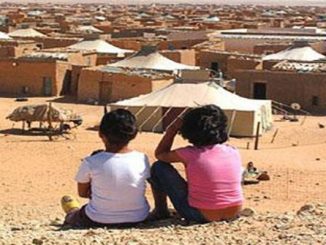 المغرب يجدد دعوته لإحصاء محتجزي تندوف缩略图