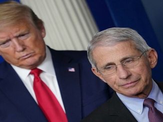 مسؤول أمريكي: العالم لا يزال في بداية وباء كورونا… وترامب يجادل في الامر缩略图