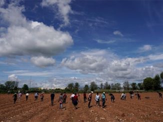 بعد انتقادات دولية.. إسبانيا تبني مخيما للمهاجرين العاملين في جني محصول الفراولة缩略图