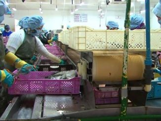 النيابة العامة بأسفي تتابع مسؤولين عن تسيير وحدات لتصبير السمك بسبب تفشي كورونا缩略图