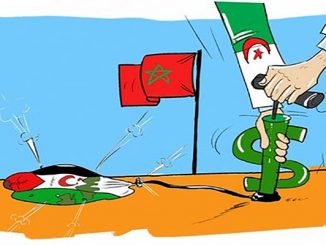 الصحراء المغربية.. هذيان الجزائر العاصمة والتوضيحات القوية للاتحاد الأوروبي缩略图