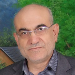 تطبيع ليس كالتطبيع.. لماذا؟插图
