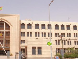 موريتانيا تعلن دعمها للإمارات缩略图