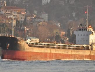 كيف وصلت “شحنة الموت” إلى لبنان؟ وما دور القضاء وادارة الميناء في الموضوع؟缩略图