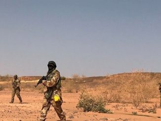 أ ف ب: مقتل 6 سياح فرنسيين رميا بالرصاص في النيجر缩略图