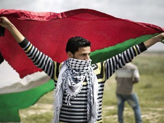 تطبيع ليس كالتطبيع.. لماذا؟缩略图