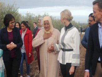 أمريكا تعتبر المغرب نموذجا في مجال تمكين المرأة缩略图