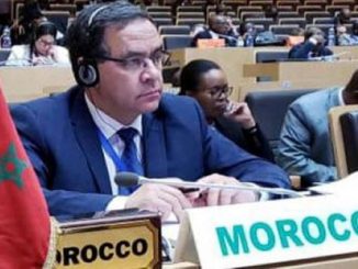 المغرب يترأس اللقاء السنوي الثالث للسفراء الأفارقة缩略图