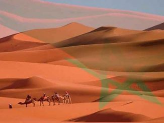 مطالب بوضع حد للتحركات المريبة للخونة و العملاء في منطقة الصحراء المغربية…. !!缩略图