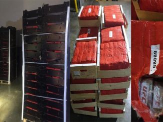 طنجة.. إجهاض عملية للتهريب الدولي للمخدرات (بلاغ DGSN)缩略图