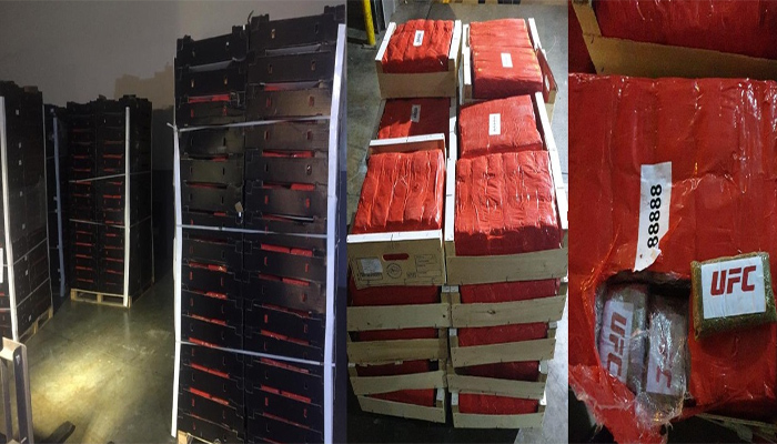 طنجة.. إجهاض عملية للتهريب الدولي للمخدرات (بلاغ DGSN)缩略图 طنجة.. إجهاض عملية للتهريب الدولي للمخدرات (بلاغ DGSN)缩略图
