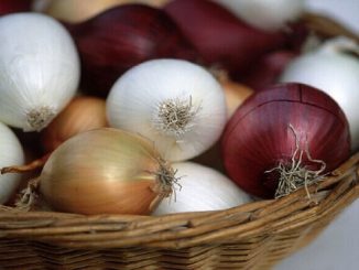 خيال واسع.. “فيسبوك” يحجب إعلانات عن بصل بسبب ما اعتقد انه منظر جنسي صريح缩略图