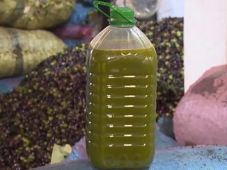 المغرب قد يحتل الصف الخامس عاليما حسب توقعات إنتاج زيت الزيتون للسنة القادمة缩略图