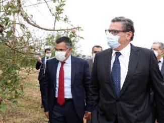 أخنوش: القطاع الفلاحي بالمغرب نضج وأصبح قادرا على مواجهة المشاكل缩略图