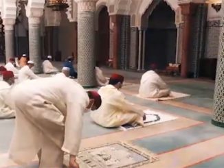 الاوقاف تكشف عدد المساجد التي تم فتحها والرقم يتجاوز 11 الف بمختلف جهات المملكة缩略图