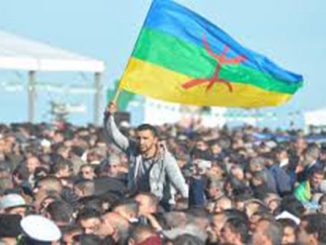 تحزيب الأمازيغية…فشل مسار缩略图