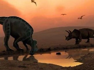 اكتشاف ديناصور من نوع “منقار البط” عاش قبل 66 مليون سنة في المغرب缩略图