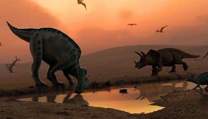 اكتشاف ديناصور من نوع "منقار البط" عاش قبل 66 مليون سنة في المغرب - Gil24