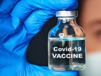 الخراطي: قبول أو رفض التلقيح يدخل في صميم الحقوق缩略图