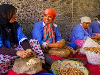 الاقتصاد الاجتماعي والتضامني، ركيزة للإنعاش بعد الأزمة缩略图