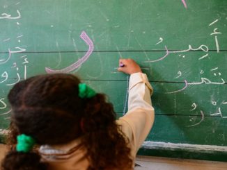 سعيد بنيس: في جدلية لغة التدريس ومنزلق الانهزامية الهوياتية缩略图