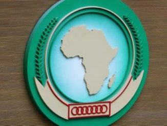 القمة الاستثنائية الـ14 للاتحاد الافريقي حول مبادرة إسكات الأسلحة تفتتح أشغالها缩略图