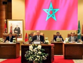 الجزولي ينتقد محاولة مفوض جزائري خرق القانون في أشغال القمة الافريقية缩略图