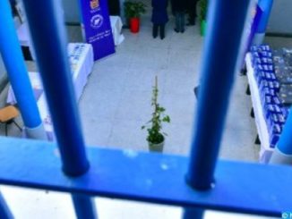 اليوم الوطني للسجين… مناسبة لتسليط الضوء على مجهودات إعادة الإدماج الاجتماعي والمهني للسجناء缩略图