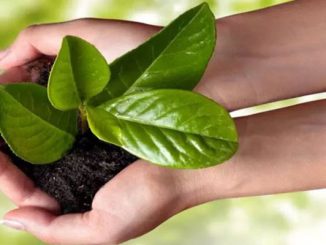 مؤشر دولي يصنف المغرب في المركز الرابع عالميا من حيث الاداء المناخي缩略图